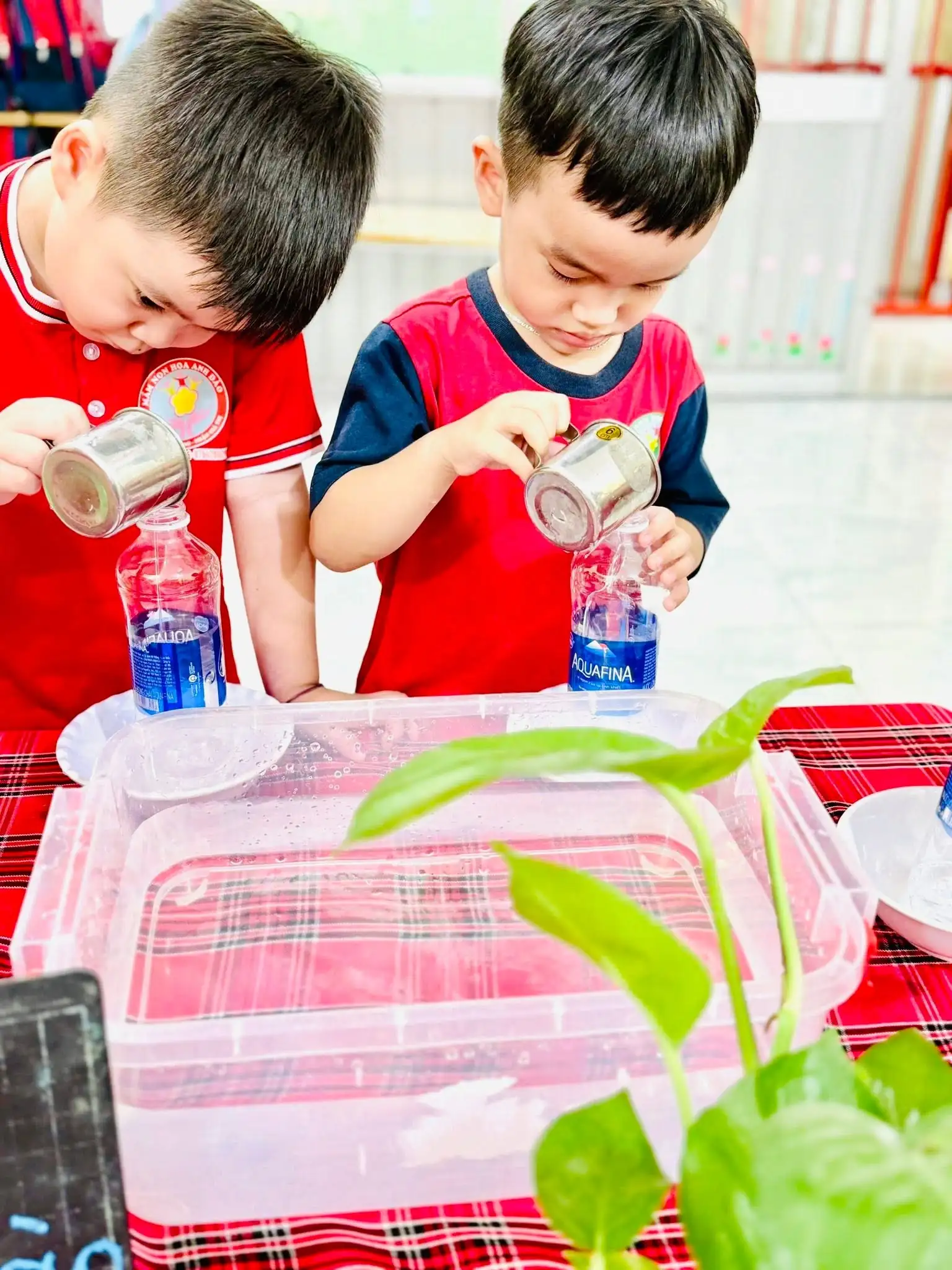 Chương Trình Phát Triển Thể Chất & Kỹ Năng Tự Lập Cho Trẻ Mẫu Giáo